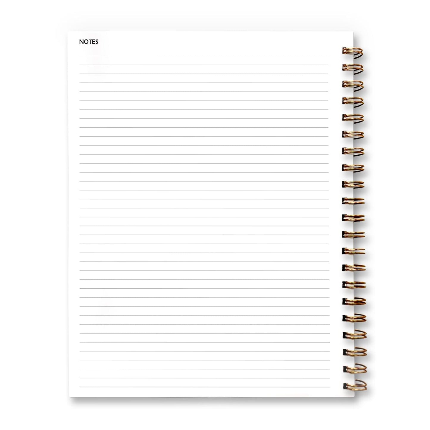 Inside page of the undated weekly lesson plan book. Back, left page.