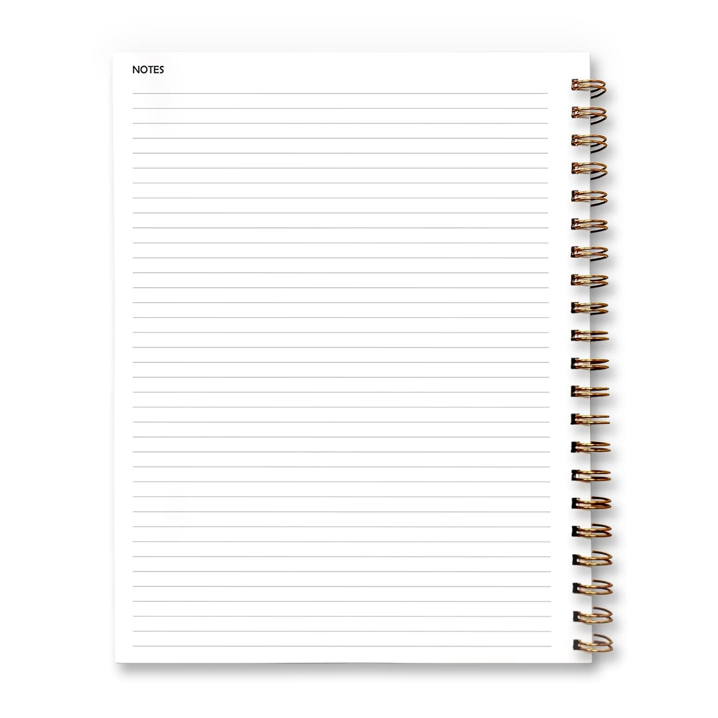 Inside page of the undated weekly lesson plan book. Back, left page.
