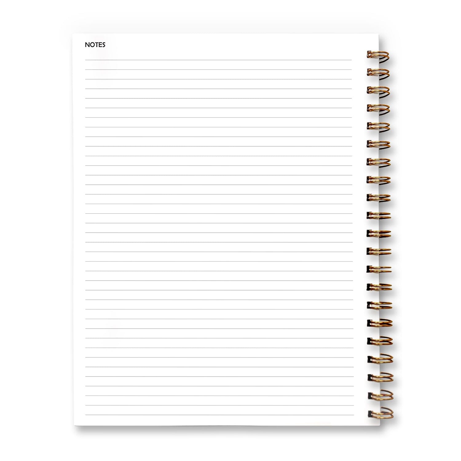 Inside page of the undated weekly lesson plan book. Back, left page.