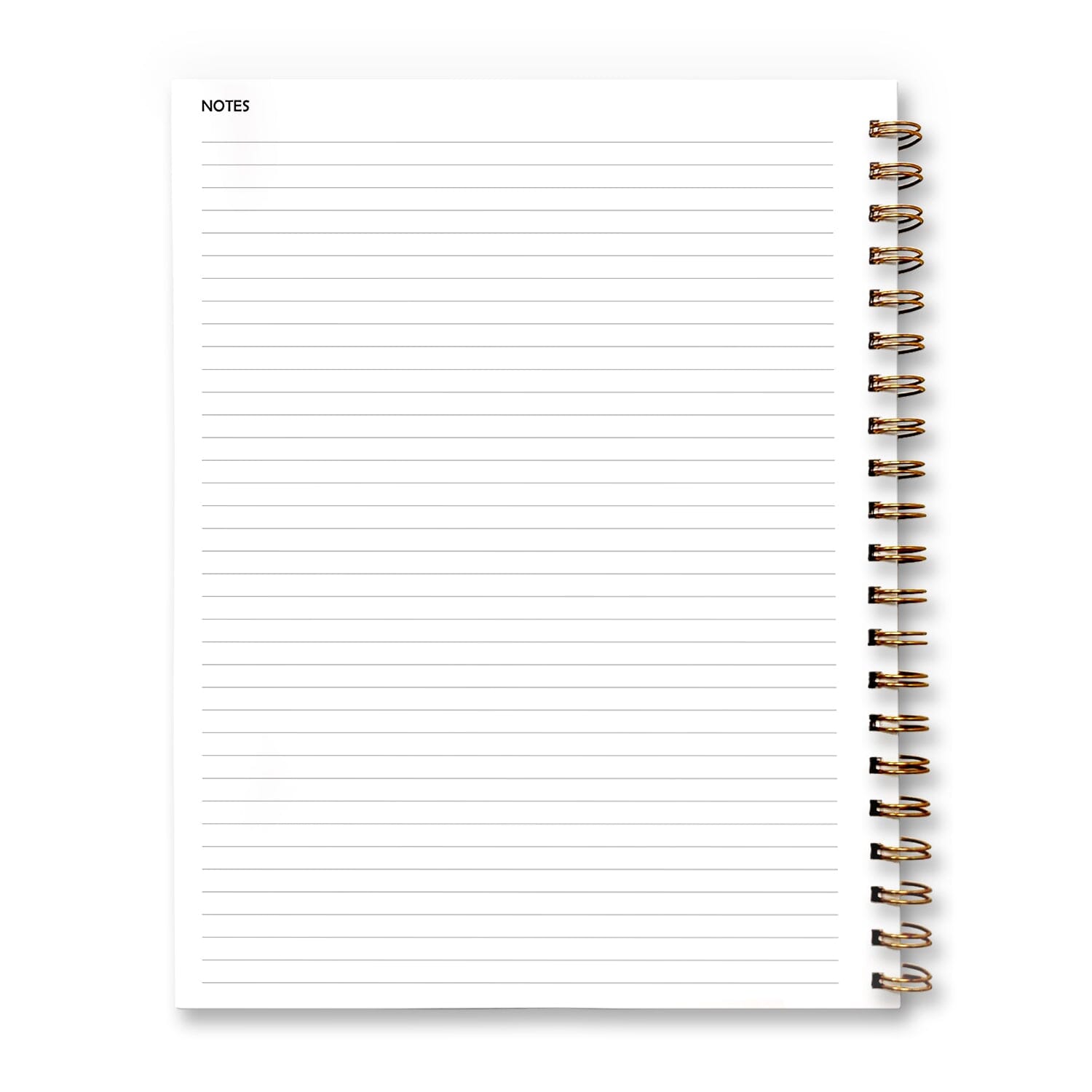 Denim & Daisies Dot Grid Notebook