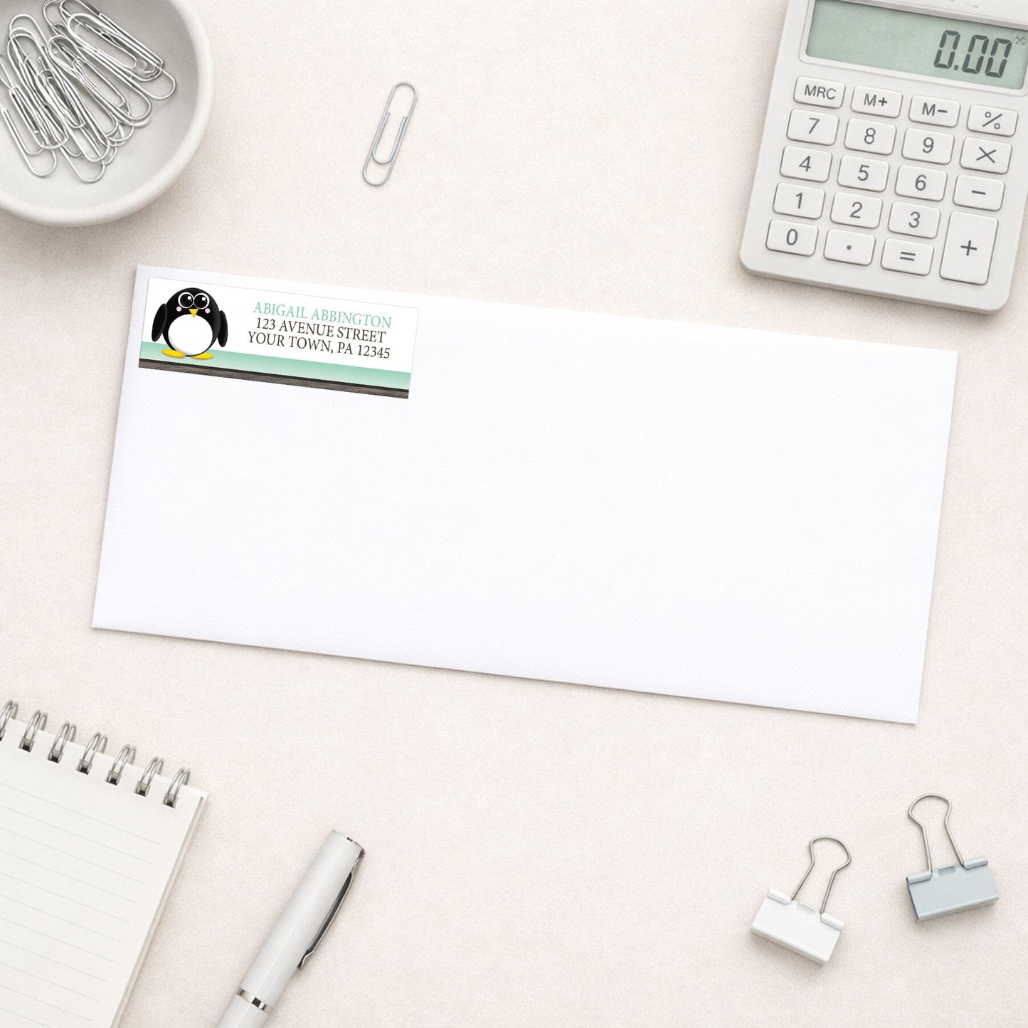 Cute Penguin Mint Green Rustic Address Label shown on a white envelope with everyday office supplies
