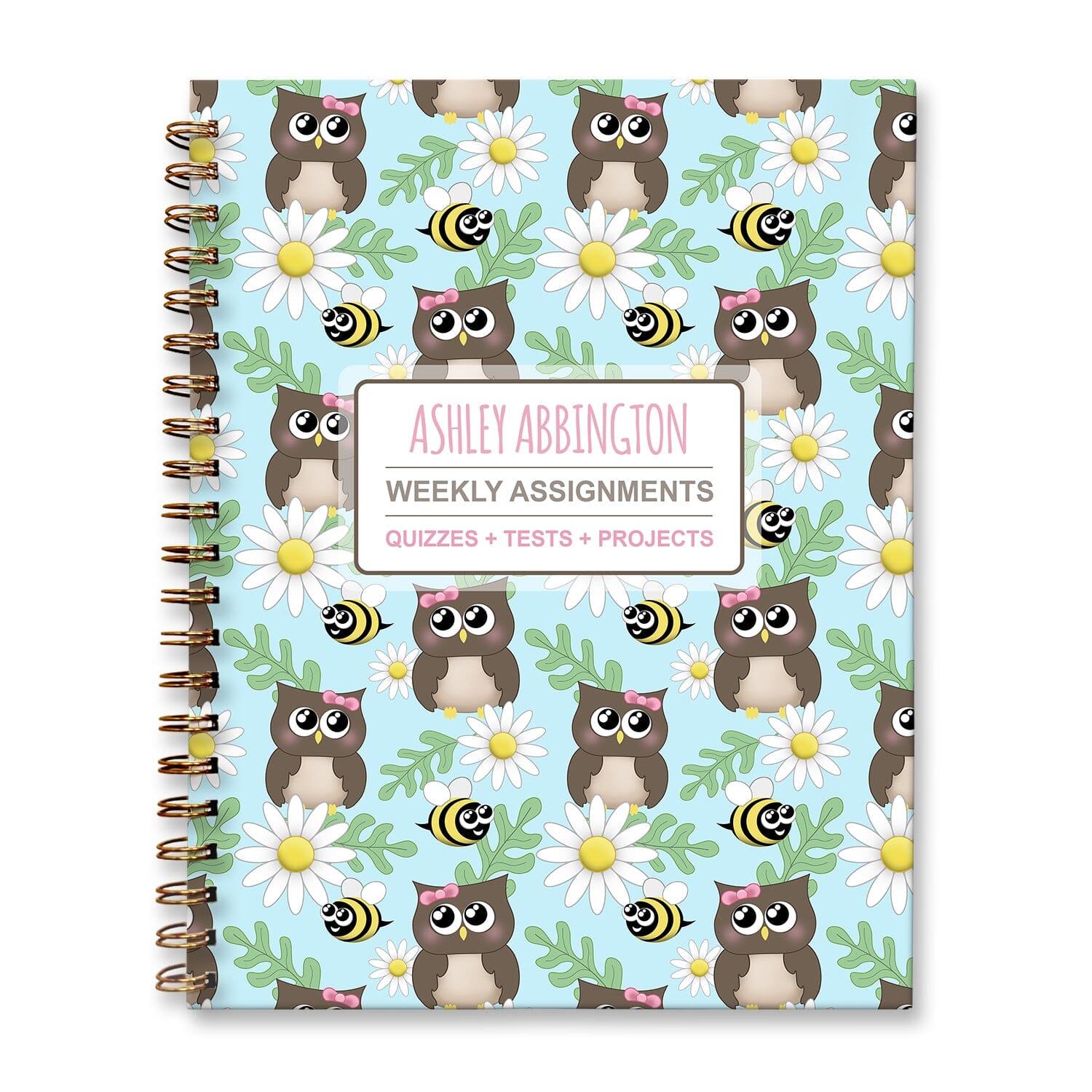 Personalized Owl Bee Daisy Weekly Assignments Book for students to track their homework, quizzes and tests, and projects every week for school. 